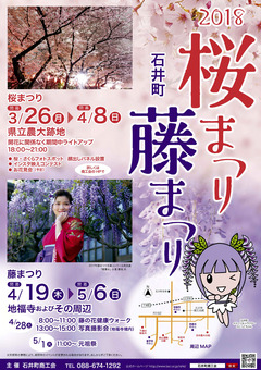 徳島県名西郡石井町 徳島県立農大跡地 桜まつり 2018