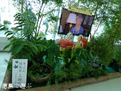徳島阿波おどり空港 映画 人生、いろどり PR