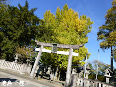 天神のイチョウ 2012
