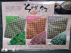 そばの種 3点セット