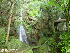 徳島市 鳴滝
