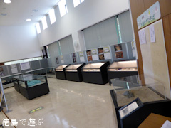 徳島県 埋蔵文化財発掘調査成果速報展 発掘とくしま 2014