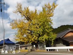 ���ܤΥ����祦 ���� 2013