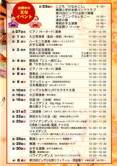 第26回 ビッグひな祭り 2014