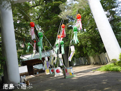 ���縩̾��������Į ��ʬ��̱�� ��14�� ��ʬ��ͼ���� 2014