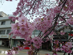 ����Ʋ ̴�� 2012