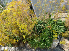 ������������� ���ѿ�ʪ�� 2012