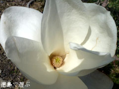 ��ë�� �˲��� �ϥ��⥯��� 2012