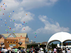 鳴門Big夢釣りまつり 2011
