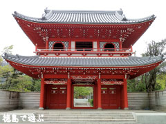 安楽寺 山門 修復後