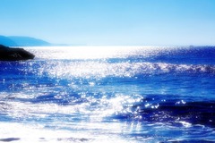 海01