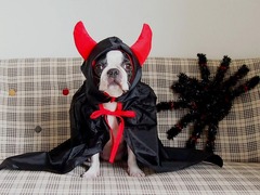 ハロウィンイメージ