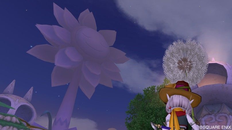 アストルティア博物館 プレイゾーン西宝箱取得方法 あるぶろぐ