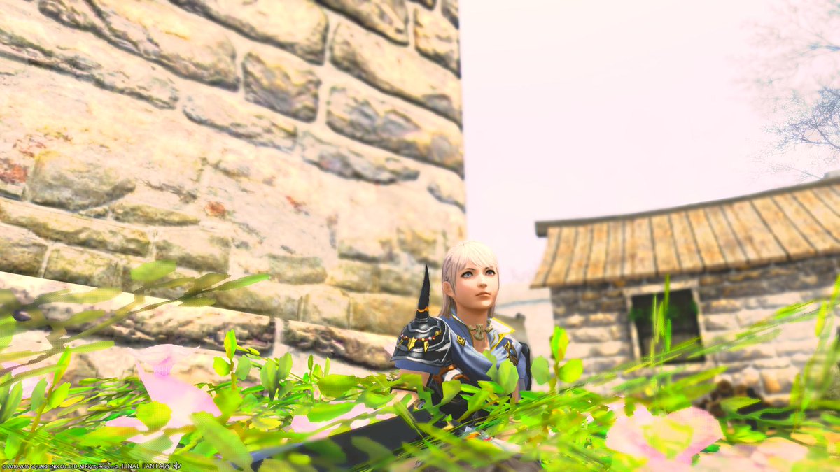 野良でもジェルザーク撃破 ブルームウィングゲット あるぶろぐ