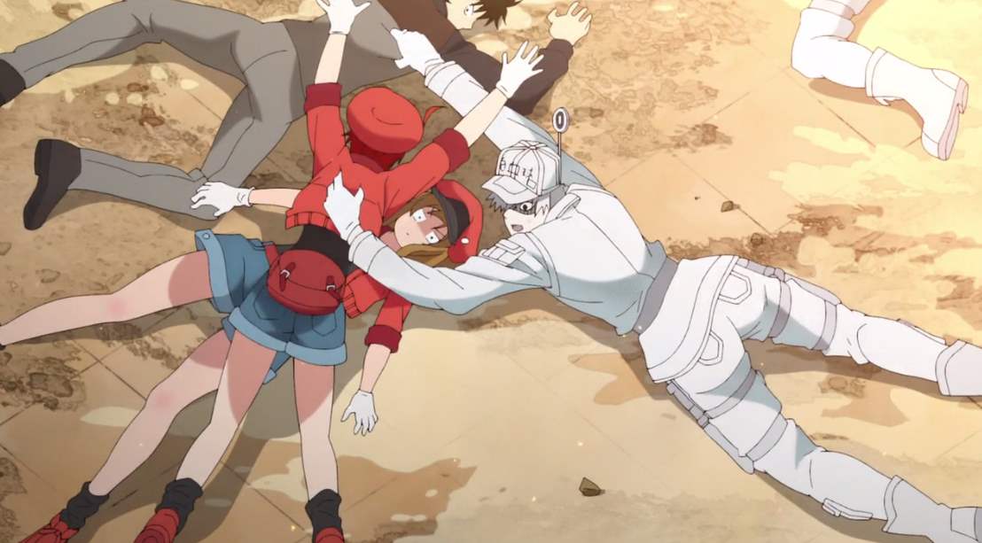 はたらく細胞第５話感想 花粉症回 職業柄とはいえ赤血球ちゃんを必ず守ろうとする白血球さんにキュンとしてしまいます 先輩赤血球がどえらい顔していますがｗ じじにっちアンテナ