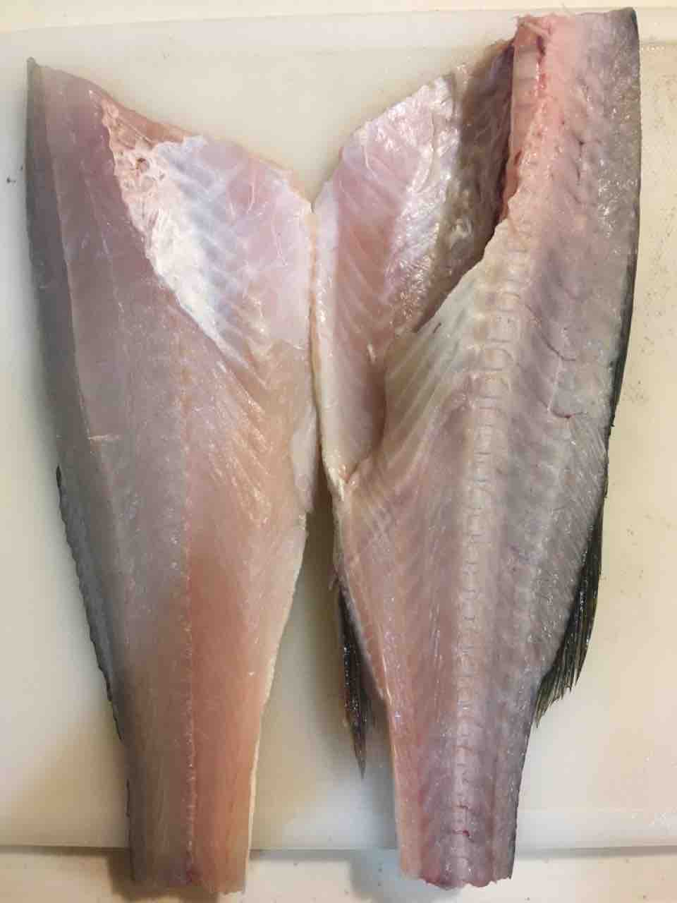 キス釣りgo 下処理方法 キス釣りgo 下処理方法
