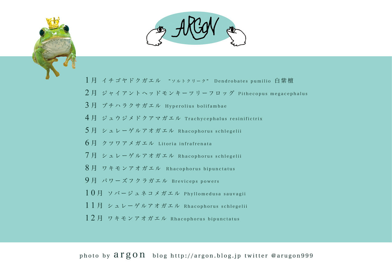 19あるごんフロッグカレンダー と思い出 Argonfrog 19あるごんフロッグカレンダー と思い出 Argonfrog
