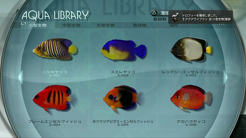 Aquanaut S Holiday 隠された記録 Aruhinosora