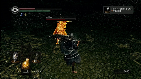 Dark Souls Aruhinosora