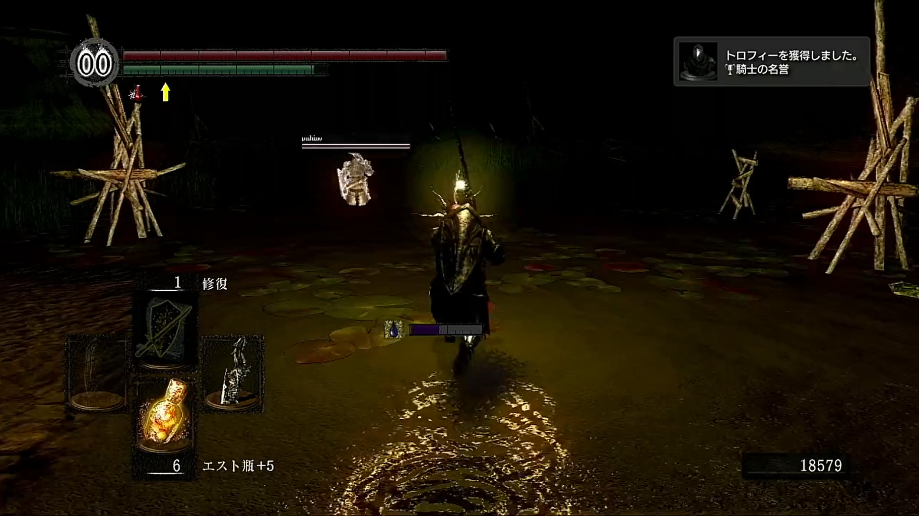 Dark Souls Aruhinosora