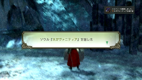 ネガヴァニティアを宿す者