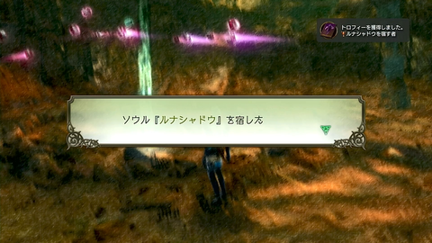 ルナシャドウを宿す者