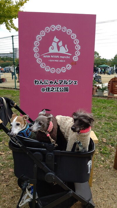 わんにゃんマルシェ住之江公園 (2)