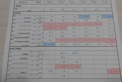 イタグレこまり (1)