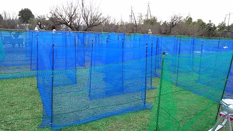 梅の郷ワン動会_12