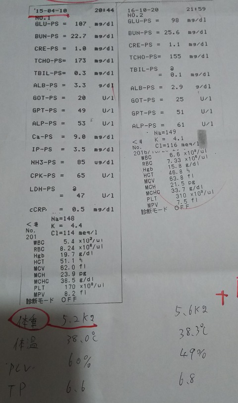 アル_健康診断4