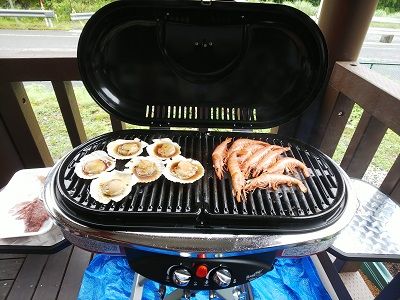 rover_bbq (13)