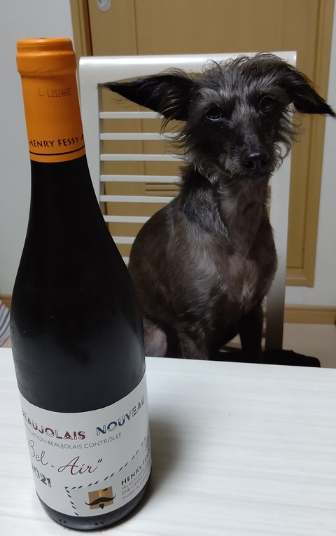 イタグレボジョレーヌーボー2021 (2)