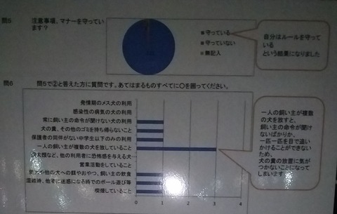 花園ドッグラン_アンケート3