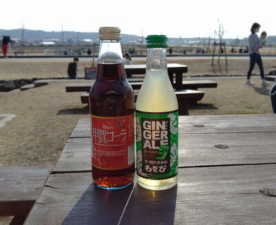 せせらぎの里こうらイタグレ (6)