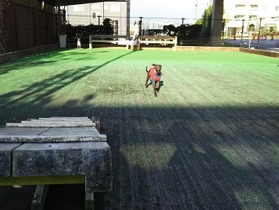 カインズホーム_ドッグラン5