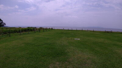 琵琶湖高島イタグレ (8)
