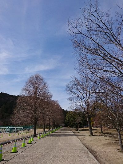 イタグレ散歩6