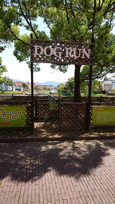 ハウステンボスドッグラン2