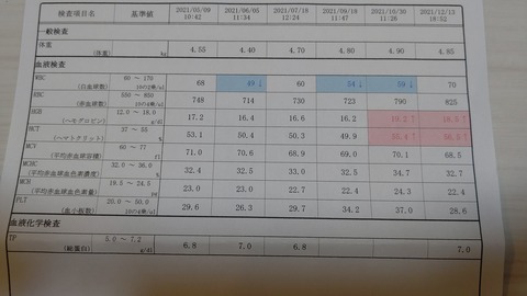 イタグレこまり介在性血小板 (1)