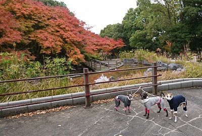 鶴見緑地7