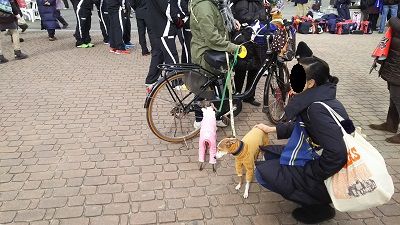 花園ラグビー場5