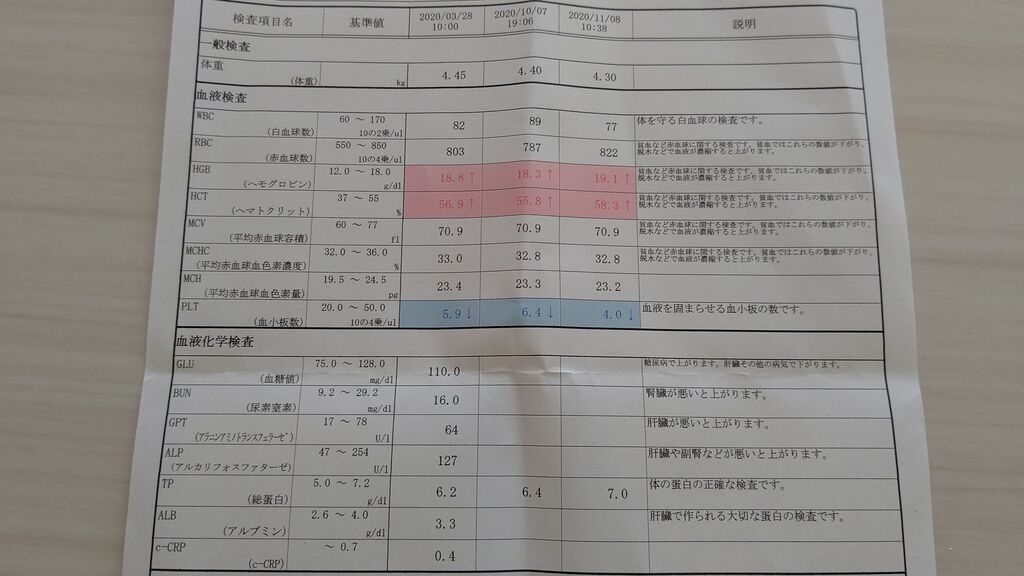 血小板減少検査 こまりーーーーーんこ