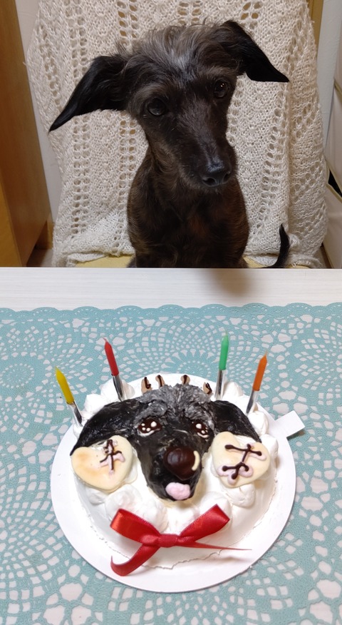 イタプーりん_４歳誕生日 (5)