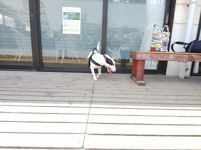 尼テクラストラン6