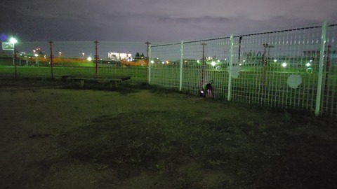 イタグレナイトラン (5)