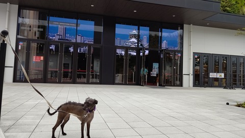 大阪城_クールジャパンパーク大阪 (2)