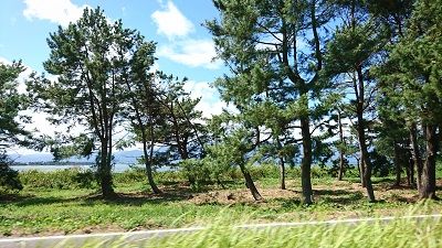 琵琶湖1