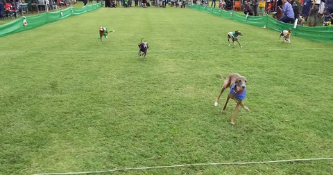 海おさ30m走ジェイ2