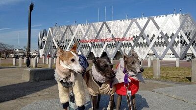 花園ラグビー場