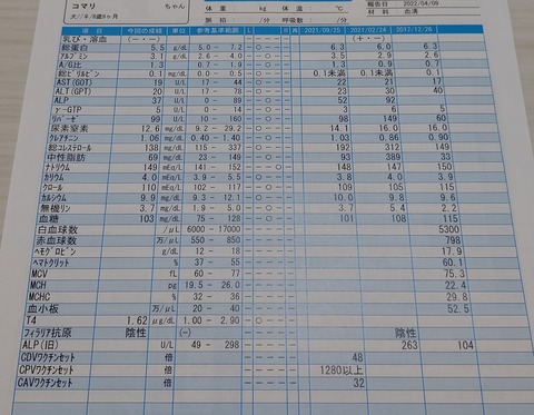 健康診断_こまり (2)